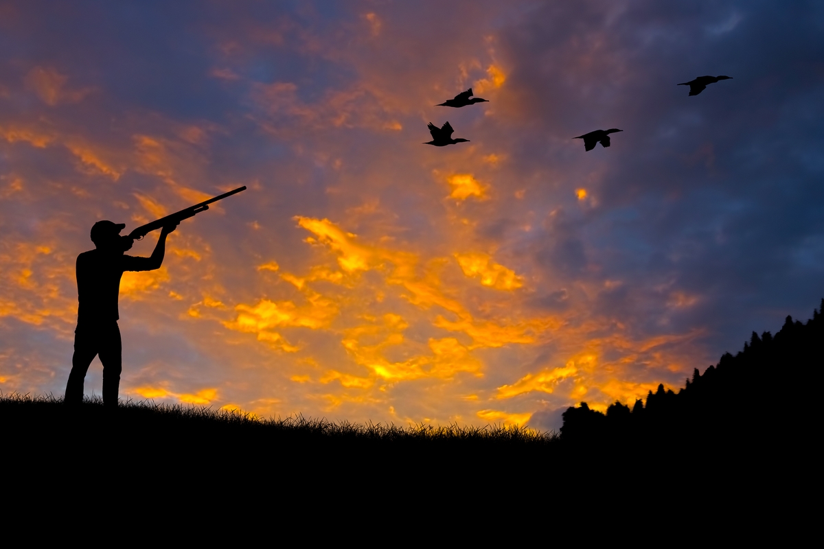 Bird Hunting Skyrose Ranch Hunting