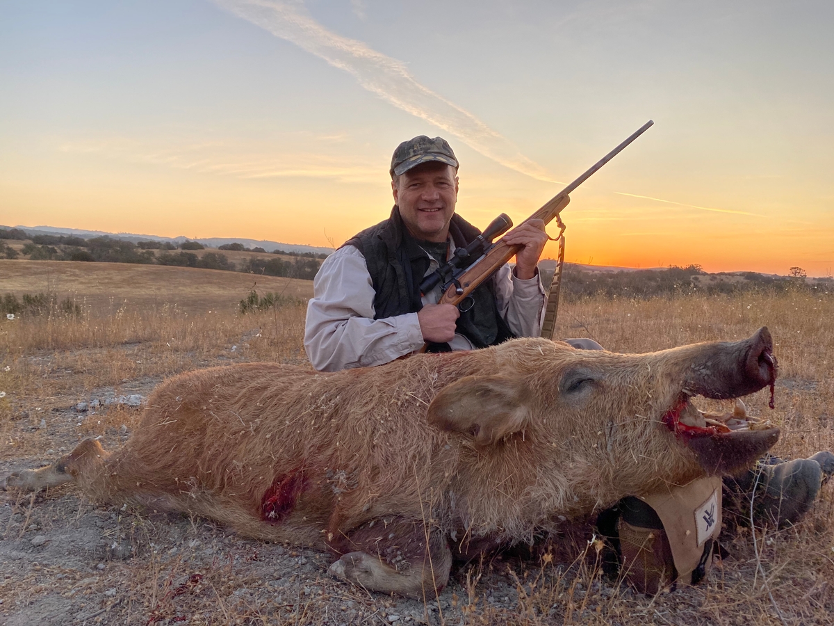 Wild Pig Hunting Packages CA