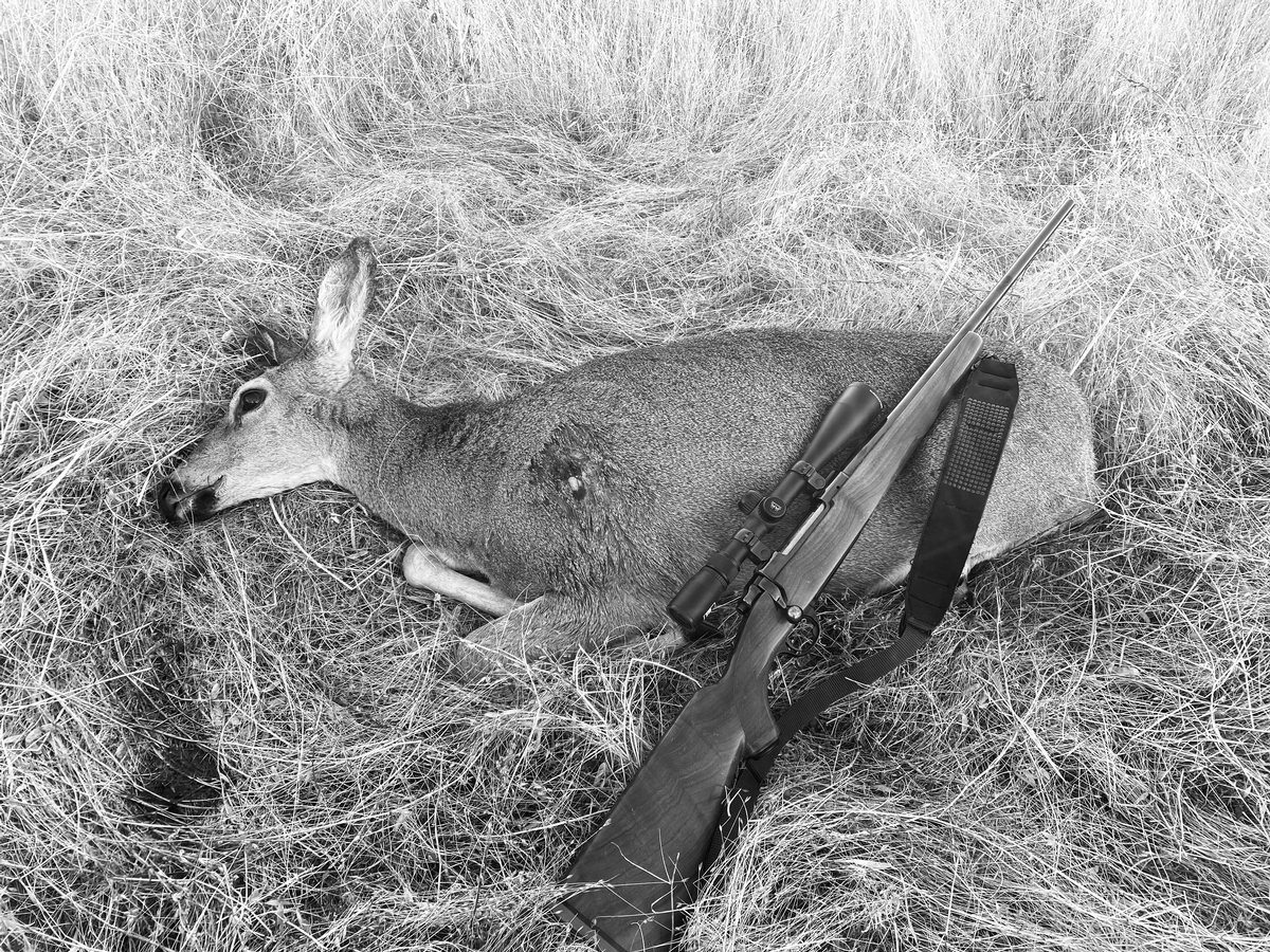 Blacktail Doe Hunts