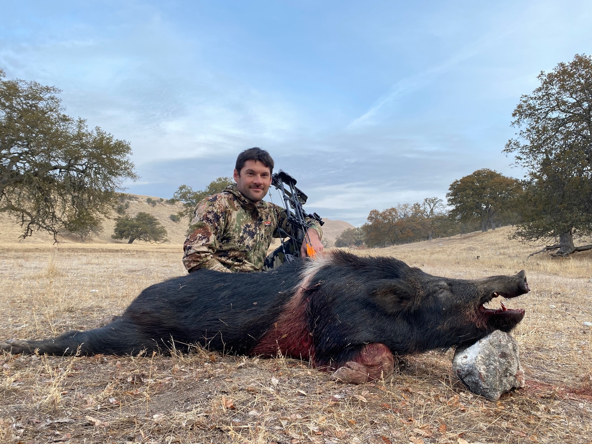 Hog Hunting Southern California