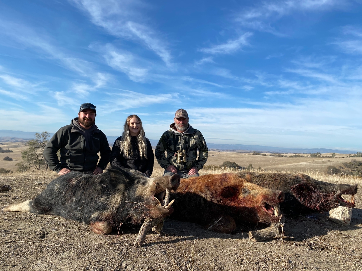 Hog hunts California