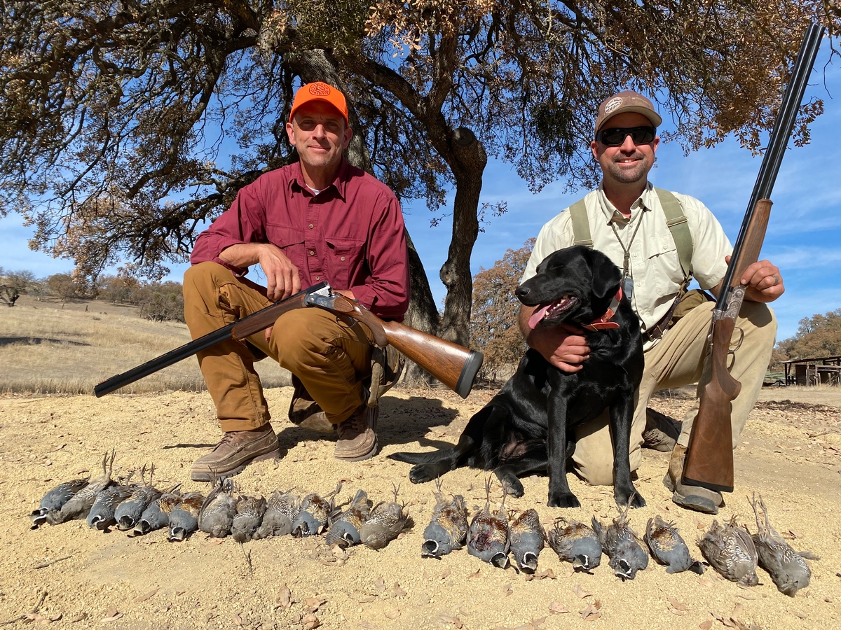 california crow hunting