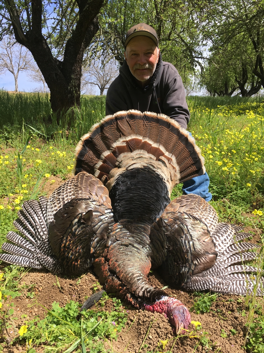 Rio Grande Turkey Hunts Skyrose Ranch Hunting Rio Grande Turkey Hunts Skyrose Ranch Hunting