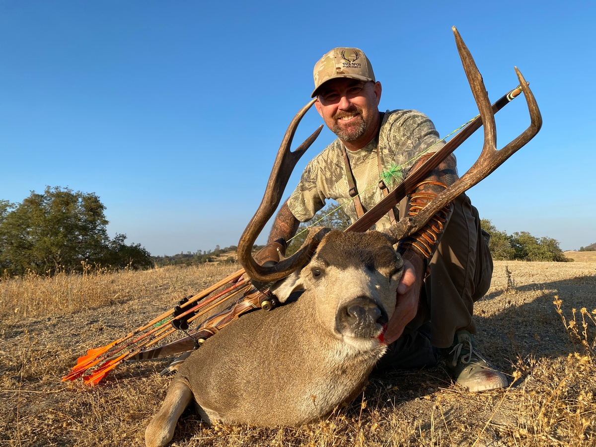 blacktail buck